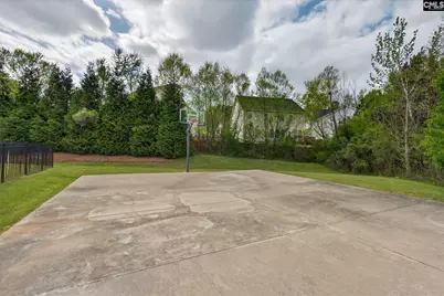 715 Soldier Gray Lane, Chapin, SC 29036 - Photo 56