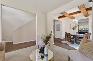 715 Soldier Gray Ln, Chapin, SC 29036 - Photo 8