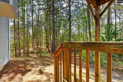 715 Soldier Gray Lane, Chapin, SC 29036 - Photo 50