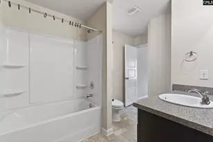 715 Soldier Gray Ln, Chapin, SC 29036 - Photo 34