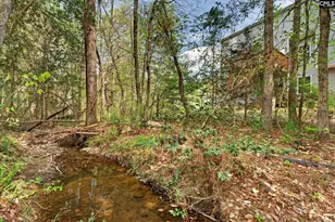 715 Soldier Gray Ln, Chapin, SC 29036 - Photo 52