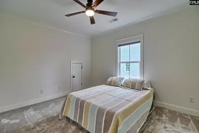 816 Elms Spinney Lane, Chapin, SC 29036 - Photo 34