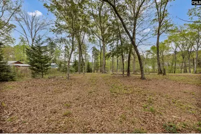 282 Poplar Point Road, Batesburg, SC 29006 - Photo 30