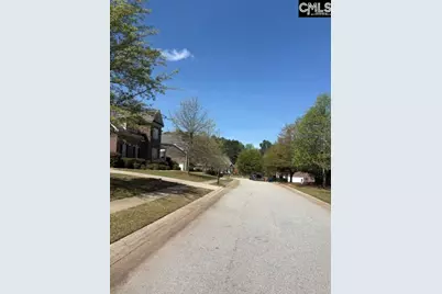 108 Black Walnut Drive, Lexington, SC 29072 - Photo 30