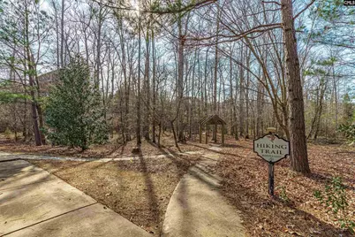 510 House Wren Lane, Blythewood, SC 29016 - Photo 70