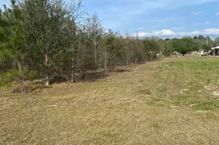 0 Sea Ray Ln, Marion, SC 29571 - Photo 1