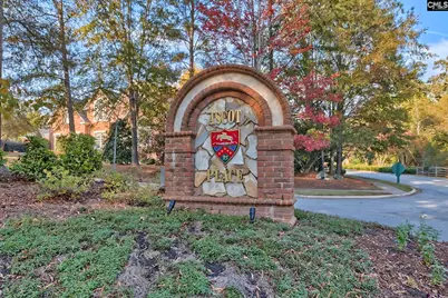 115 Land Stone Circle, Irmo, SC 29063 - Photo 58