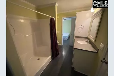 116 Connie Wright Road, Irmo, SC 29063 - Photo 8