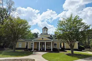 15 Flutterby Ct, Blythewood, SC 29016 - Photo 38