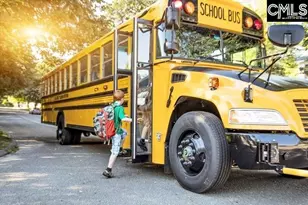 327 Granny&apos S Cut Way, Chapin, SC 29036 - Photo 48