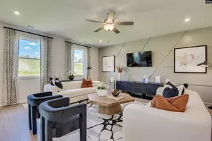 327 Granny&apos S Cut Way, Chapin, SC 29036 - Photo 6