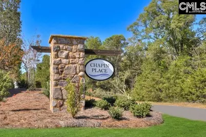 327 Granny's Cut Way, Chapin, SC 29036 - Photo 42