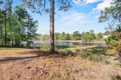 442 McLee Road, Lexington, SC 29073 - Photo 28