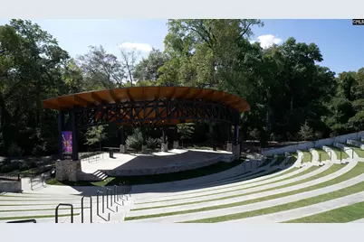 310 Livesey Lane, Gilbert, SC 29054 - Photo 22