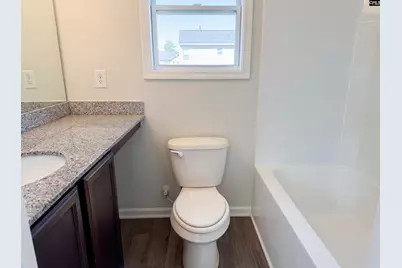 827 Dovefield Lane, Lexington, SC 29073 - Photo 6