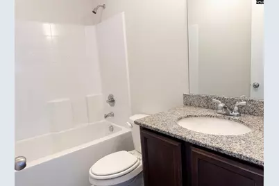 827 Dovefield Lane, Lexington, SC 29073 - Photo 12