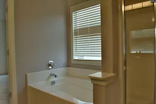 324 Joshua Tree Ct, Blythewood, SC 29016 - Photo 42