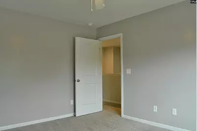324 Joshua Tree Court, Blythewood, SC 29016 - Photo 12