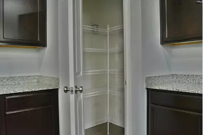 324 Joshua Tree Court, Blythewood, SC 29016 - Photo 16