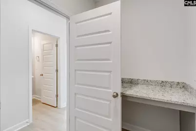 345 Rising Stream Way, Chapin, SC 29036 - Photo 24