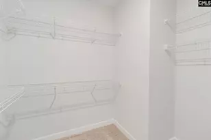 345 Rising Stream Wy, Chapin, SC 29036 - Photo 22