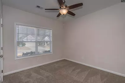 147 Doolittle Drive, Chapin, SC 29036 - Photo 14
