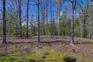 944 Cross Creek Rd, Ridgeway, SC 29130 - Photo 70