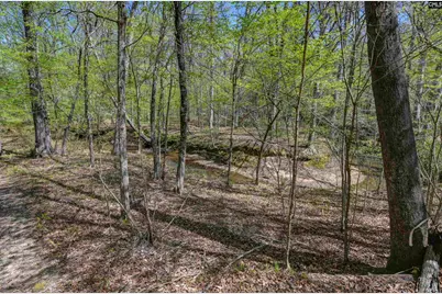 944 Cross Creek Road, Ridgeway, SC 29130 - Photo 58