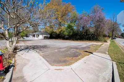 N/S Columbia Avenue, Columbia, SC 29201 - Photo 22