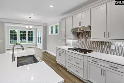 706 Coriander Road, Blythewood, SC 29016 - Photo 8