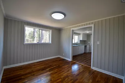 827 Dusty Road, Cope, SC 29038 - Photo 4