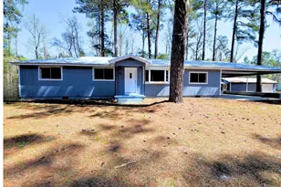 827 Dusty Rd, Cope, SC 29038 - Photo 1