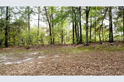 134 Wilma Ann Drive, Lexington, SC 29073 - Photo 12