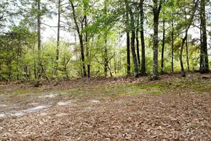 134 Wilma Ann Dr, Lexington, SC 29073 - Photo 12