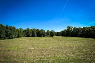0 Shealy Rd Lot 3, Batesburg, SC 29006 - Photo 1