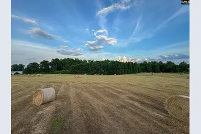 0 Shealy Road Lot 3 #3, Batesburg, SC 29006 - Photo 14