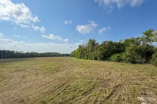 0 Shealy Rd Lot 7, Batesburg, SC 29006 - Photo 1