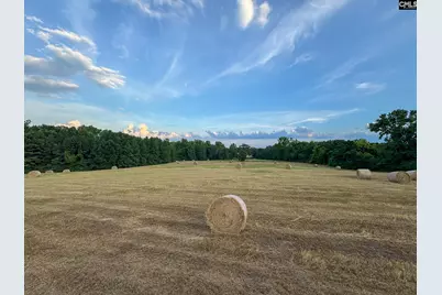 0 Shealy Road Lot 7 #6, Batesburg, SC 29006 - Photo 14