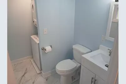 165 W 2nd Street, Swansea, SC 29160 - Photo 16