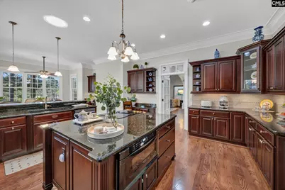 5 Lost Dog Court, Elgin, SC 29045 - Photo 16