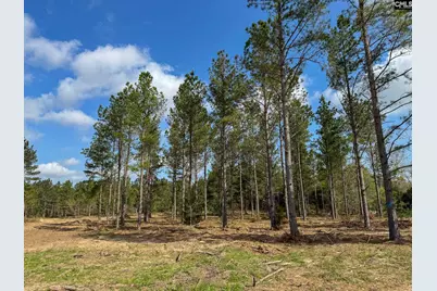 0 Perry Taylor Road 3.96 Ac, Leesville, SC 29070 - Photo 4