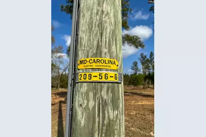 0 Perry Taylor Road 3.96 Ac, Leesville, SC 29070 - Photo 6