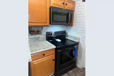 610 Crystal Springs Drive, Lexington, SC 29073 - Photo 4