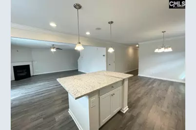 13 Arizona Court, Elgin, SC 29045 - Photo 4