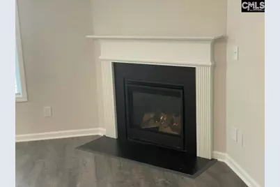 13 Arizona Court, Elgin, SC 29045 - Photo 6