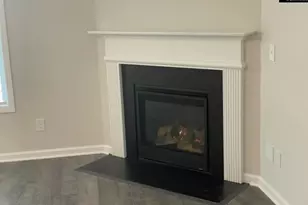 13 Arizona Ct, Elgin, SC 29045 - Photo 6