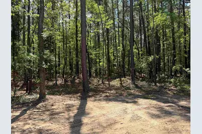 115 Ash Hill Drive, Eutawville, SC 29048 - Photo 6