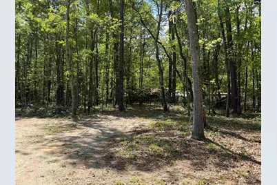 115 Ash Hill Drive, Eutawville, SC 29048 - Photo 2