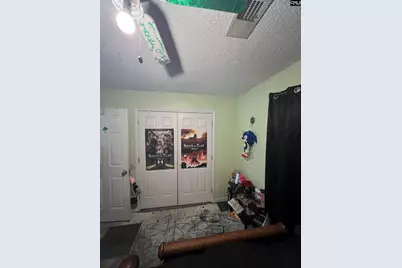 10 Piper Lane, Elgin, SC 29045 - Photo 16