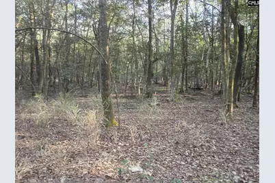 3244 Highway 1 N, Cassatt, SC 29032 - Photo 6